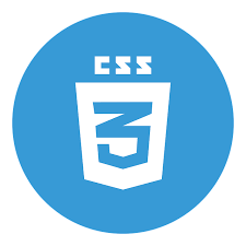 CSS Logo